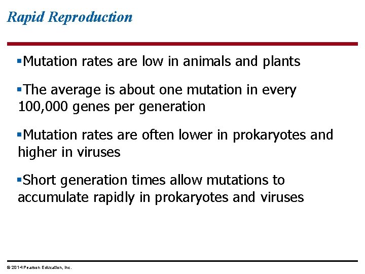 Rapid Reproduction §Mutation rates are low in animals and plants §The average is about