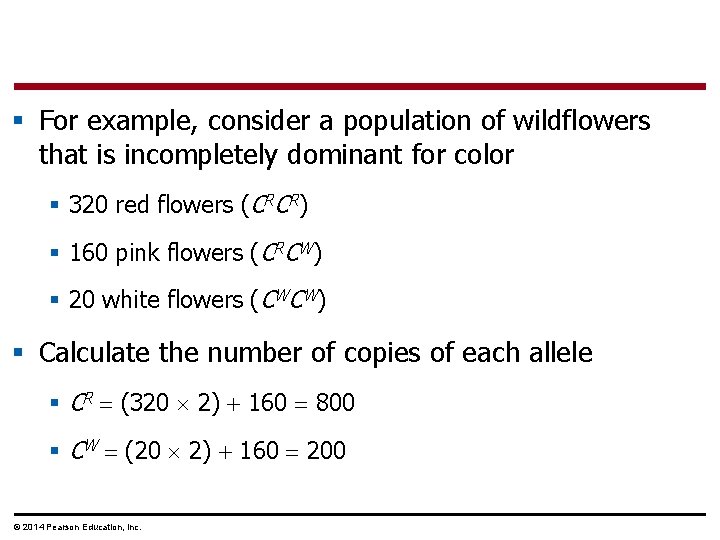 § For example, consider a population of wildflowers that is incompletely dominant for color