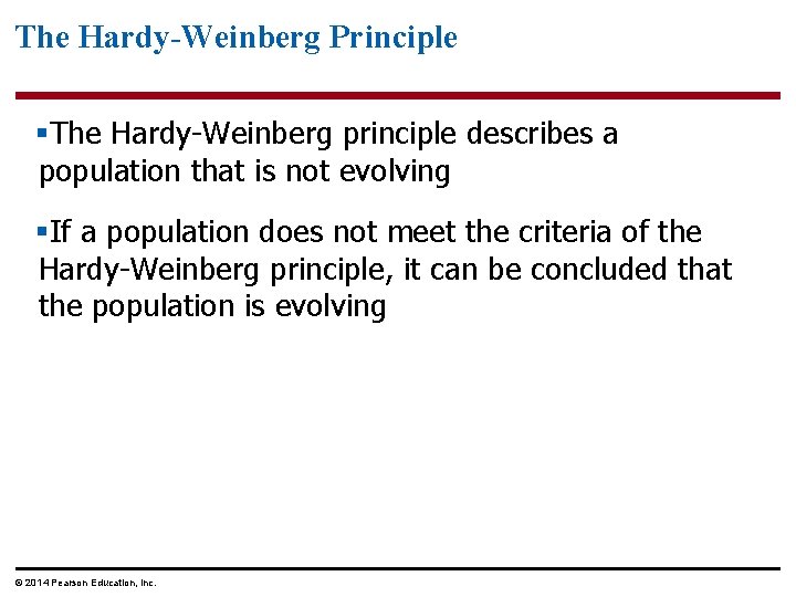 The Hardy-Weinberg Principle §The Hardy-Weinberg principle describes a population that is not evolving §If