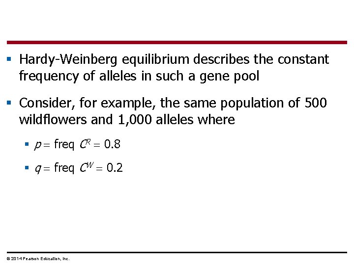 § Hardy-Weinberg equilibrium describes the constant frequency of alleles in such a gene pool