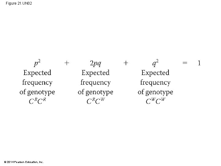 Figure 21. UN 02 © 2014 Pearson Education, Inc. 