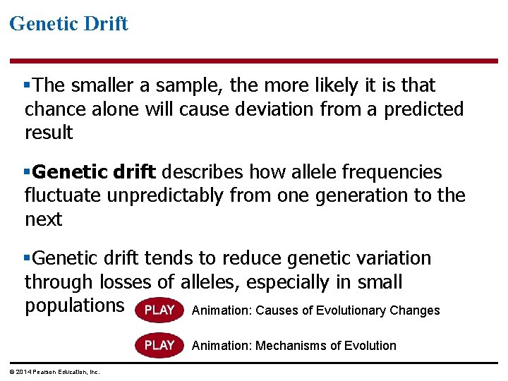 Genetic Drift §The smaller a sample, the more likely it is that chance alone