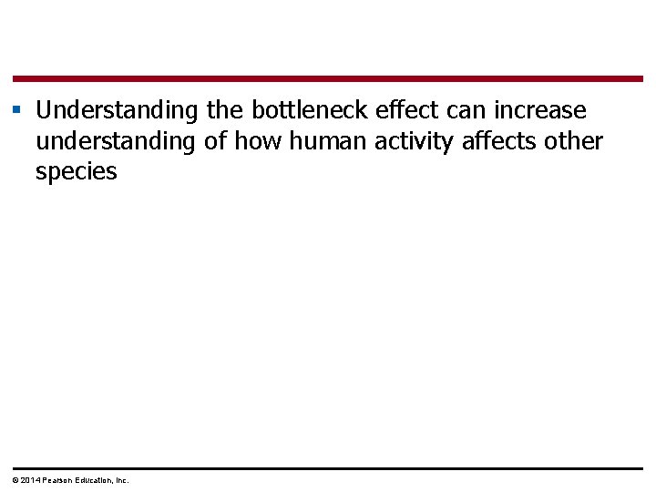 § Understanding the bottleneck effect can increase understanding of how human activity affects other