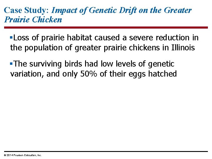 Case Study: Impact of Genetic Drift on the Greater Prairie Chicken §Loss of prairie