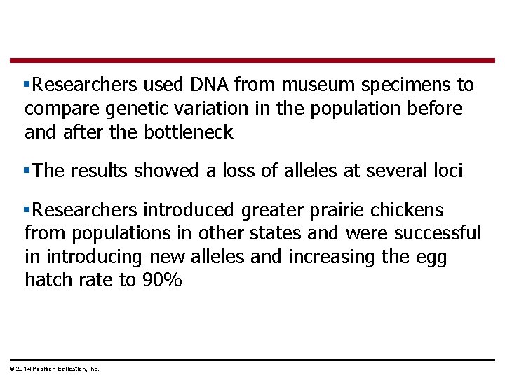 §Researchers used DNA from museum specimens to compare genetic variation in the population before