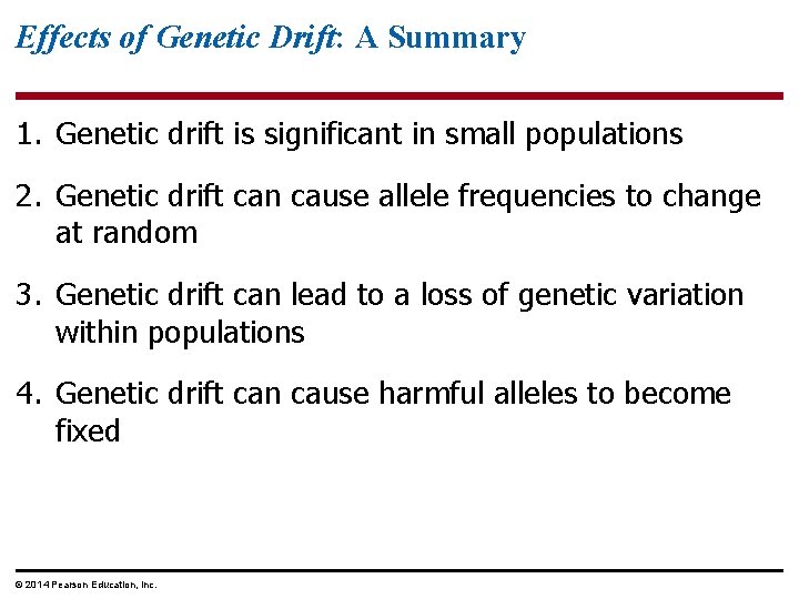 Effects of Genetic Drift: A Summary 1. Genetic drift is significant in small populations
