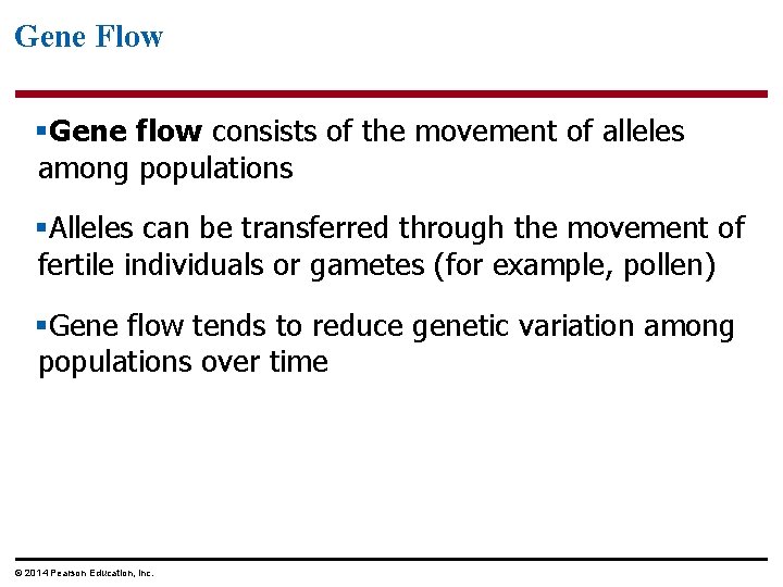 Gene Flow §Gene flow consists of the movement of alleles among populations §Alleles can