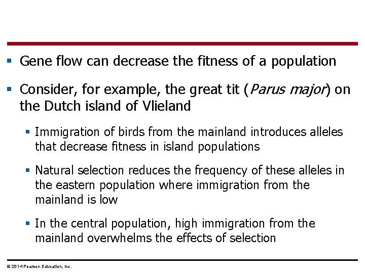 § Gene flow can decrease the fitness of a population § Consider, for example,