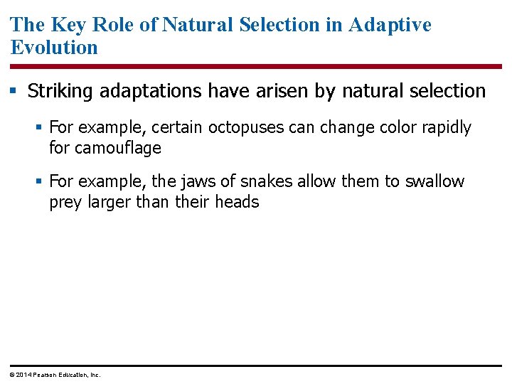 The Key Role of Natural Selection in Adaptive Evolution § Striking adaptations have arisen