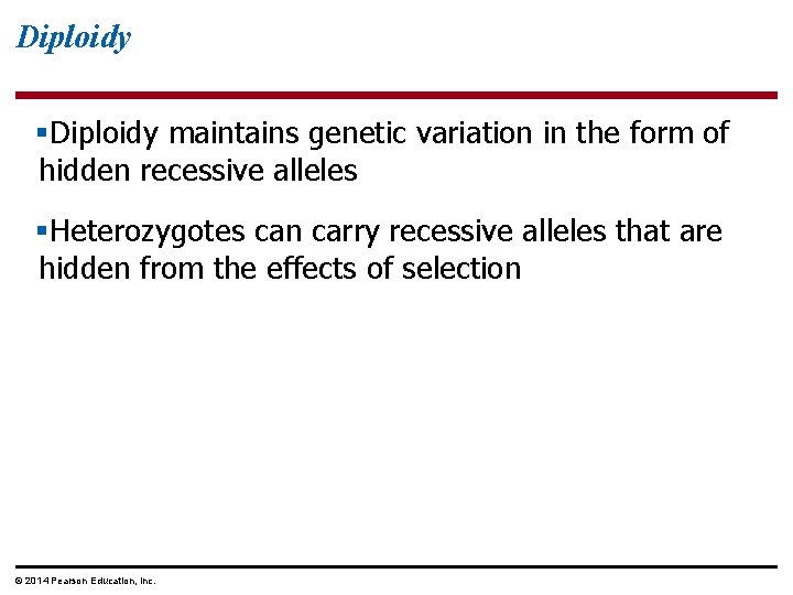 Diploidy §Diploidy maintains genetic variation in the form of hidden recessive alleles §Heterozygotes can