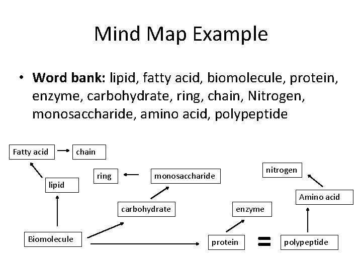 Mind Map Example • Word bank: lipid, fatty acid, biomolecule, protein, enzyme, carbohydrate, ring,