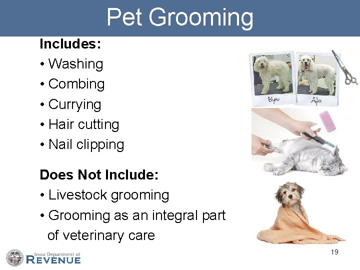 Pet Grooming Includes: • Washing • Combing • Currying • Hair cutting • Nail