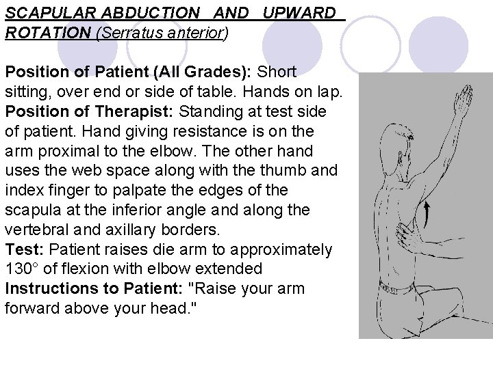 SCAPULAR ABDUCTION AND UPWARD ROTATION (Serratus anterior) Position of Patient (All Grades): Short sitting,