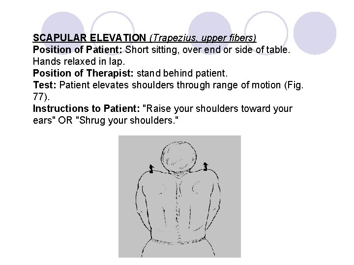 SCAPULAR ELEVATION (Trapezius, upper fibers) Position of Patient: Short sitting, over end or side