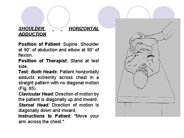 SHOULDER ADDUCTION HORIZONTAL Position of Patient: Supine. Shoulder at 90° of abduction and elbow