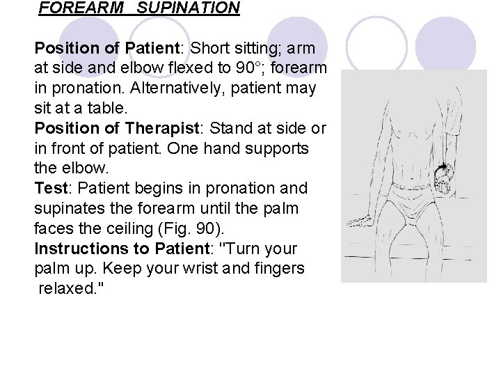 FOREARM SUPINATION Position of Patient: Short sitting; arm at side and elbow flexed to