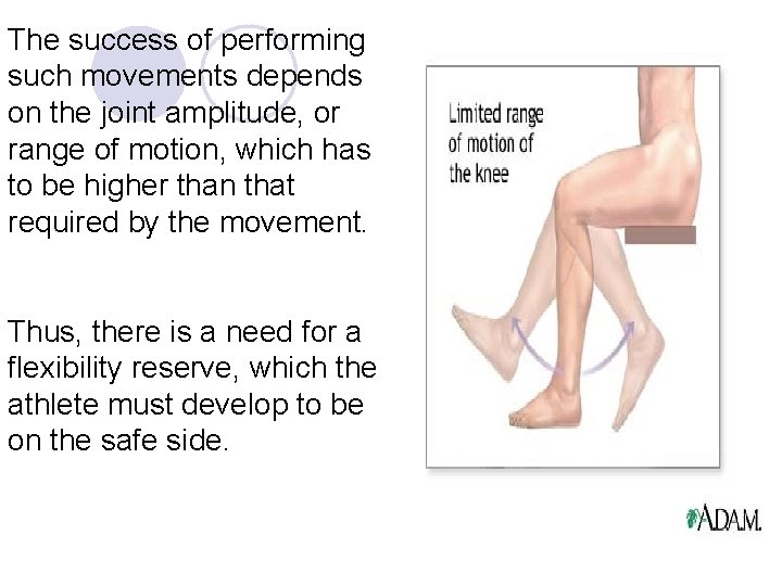The success of performing such movements depends on the joint amplitude, or range of