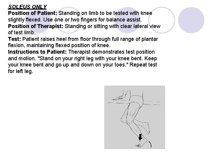 SOLEUS ONLY Position of Patient: Standing on limb to be tested with knee slightly
