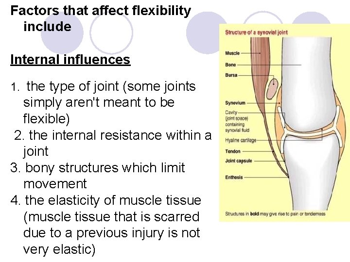 Factors that affect flexibility include Internal influences 1. the type of joint (some joints