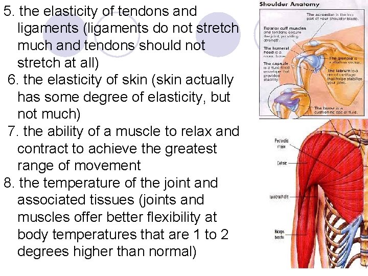 5. the elasticity of tendons and ligaments (ligaments do not stretch much and tendons