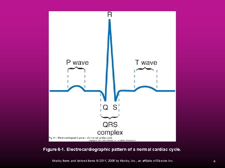 Insert Figure 6 -1. Electrocardiographic pattern of a normal cardiac cycle. Mosby items and