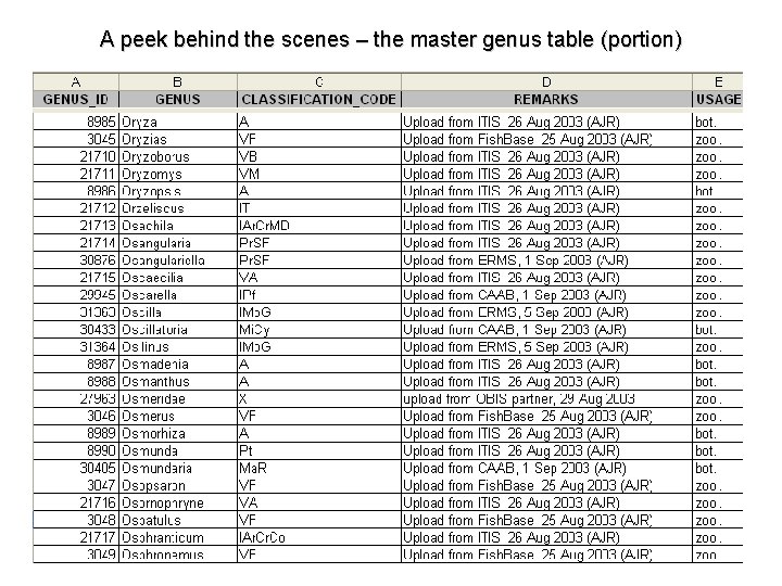 A peek behind the scenes – the master genus table (portion) 