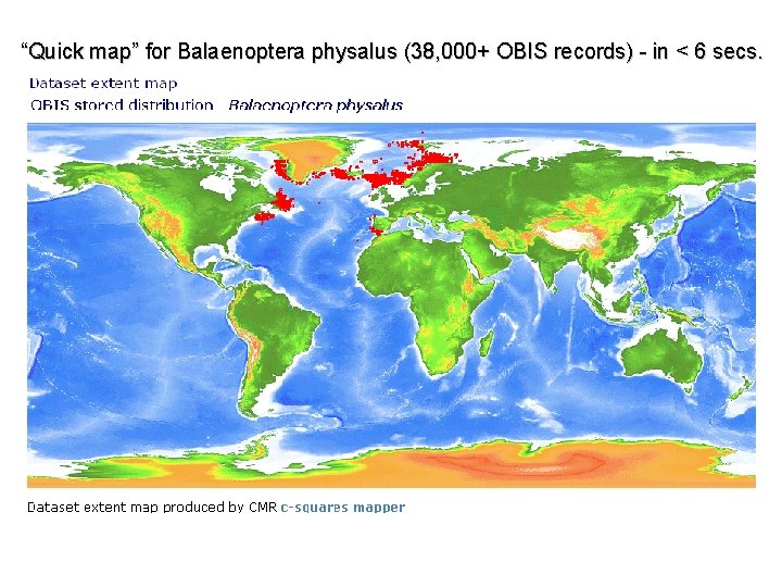 “Quick map” for Balaenoptera physalus (38, 000+ OBIS records) - in < 6 secs.