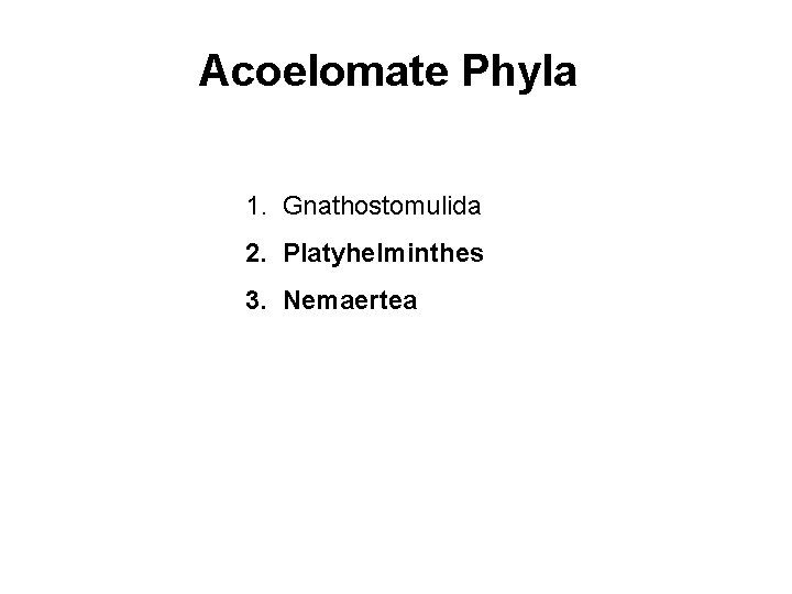 Acoelomate Phyla 1. Gnathostomulida 2. Platyhelminthes 3. Nemaertea 