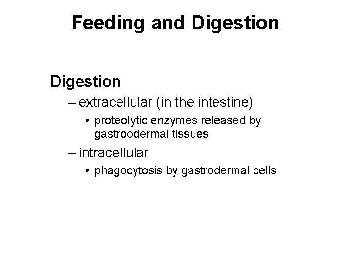 Feeding and Digestion – extracellular (in the intestine) • proteolytic enzymes released by gastroodermal
