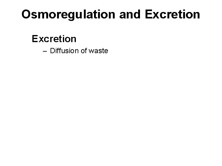 Osmoregulation and Excretion – Diffusion of waste 