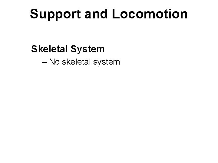 Support and Locomotion Skeletal System – No skeletal system 