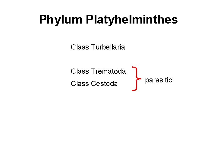 Phylum Platyhelminthes Class Turbellaria Class Trematoda Class Cestoda parasitic 