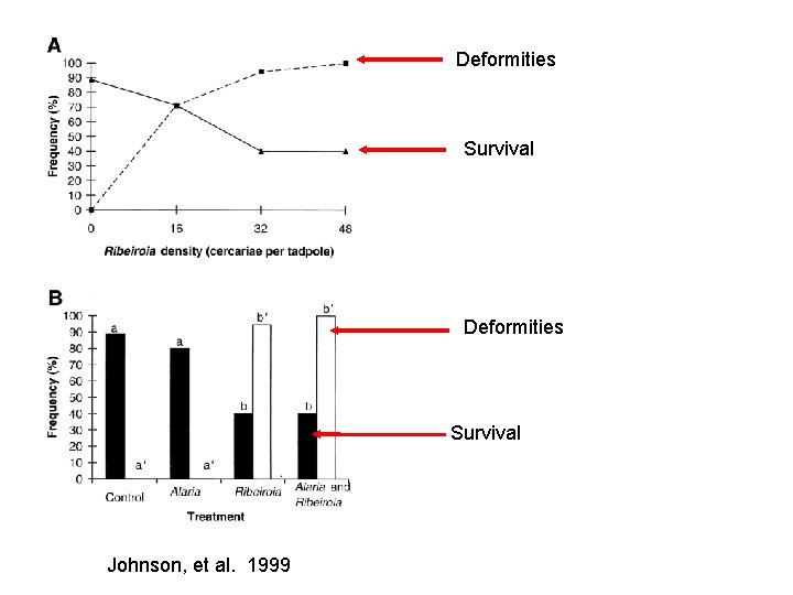 Deformities Survival Johnson, et al. 1999 