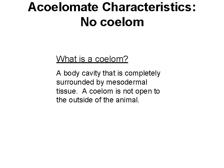 Acoelomate Characteristics: No coelom What is a coelom? A body cavity that is completely
