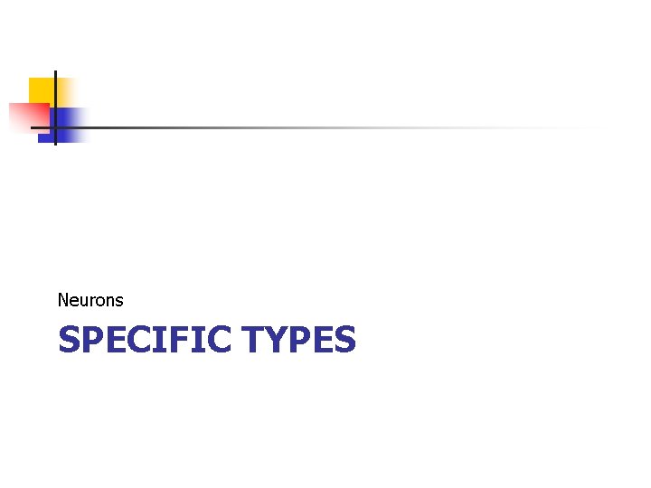 Neurons SPECIFIC TYPES 