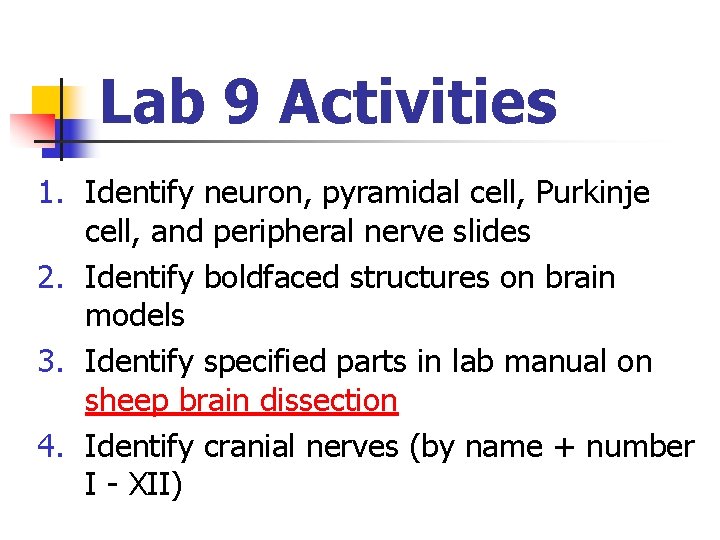 Lab 9 Activities 1. Identify neuron, pyramidal cell, Purkinje cell, and peripheral nerve slides