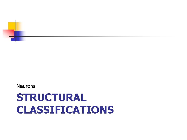 Neurons STRUCTURAL CLASSIFICATIONS 