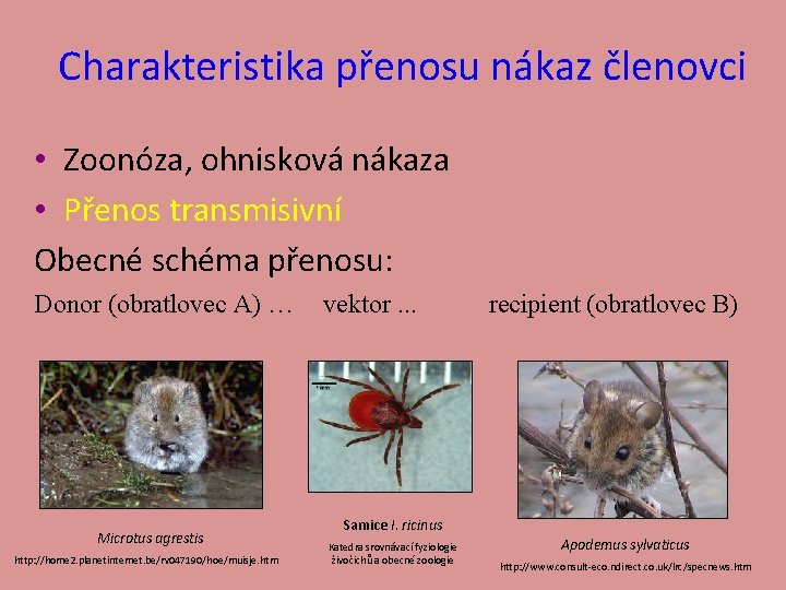 Charakteristika přenosu nákaz členovci • Zoonóza, ohnisková nákaza • Přenos transmisivní Obecné schéma přenosu: