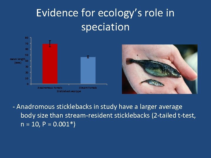 Evidence for ecology’s role in speciation 80 70 60 50 mean length 40 (mm)