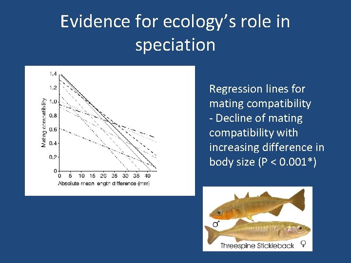 Evidence for ecology’s role in speciation Regression lines for mating compatibility - Decline of