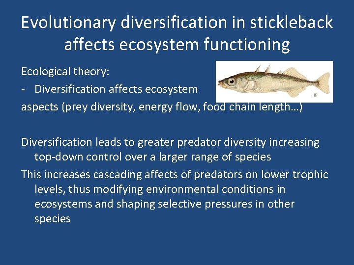Evolutionary diversification in stickleback affects ecosystem functioning Ecological theory: - Diversification affects ecosystem aspects