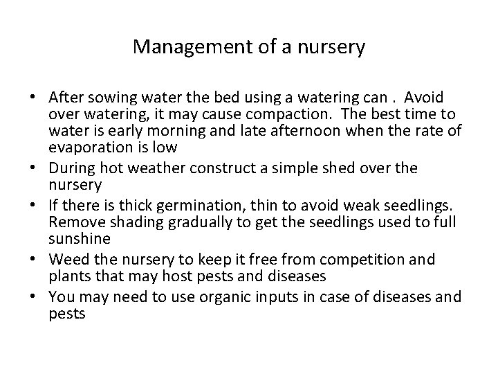 Management of a nursery • After sowing water the bed using a watering can. Management of a nursery • After sowing water the bed using a watering can.