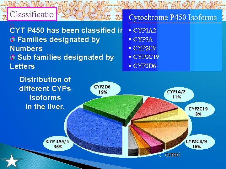 Classificatio n CYT P 450 has been classified into Families designated by Numbers Sub