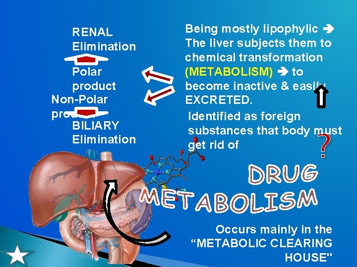 RENAL Elimination Polar product Non-Polar product BILIARY Elimination Being mostly lipophylic The liver subjects