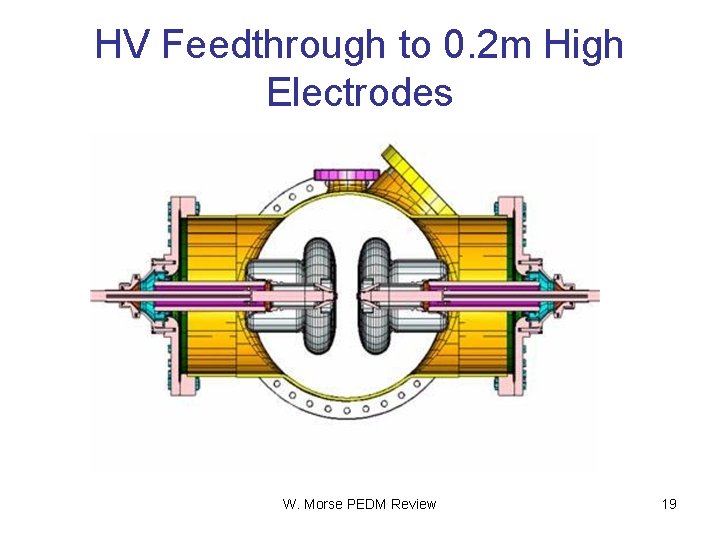 HV Feedthrough to 0. 2 m High Electrodes W. Morse PEDM Review 19 