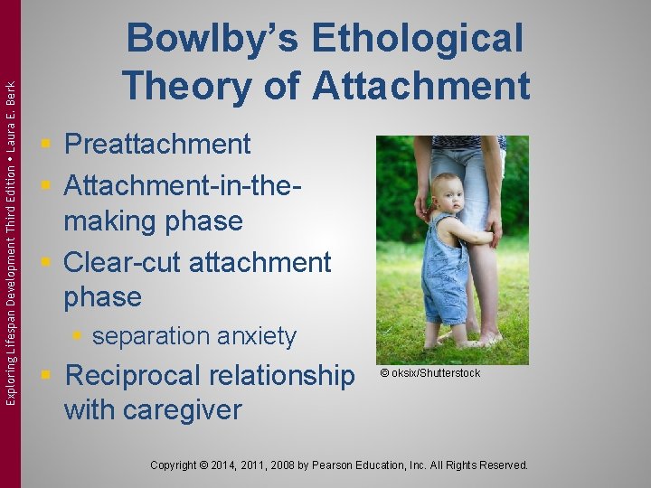 Exploring Lifespan Development Third Edition Laura E. Berk Bowlby’s Ethological Theory of Attachment §