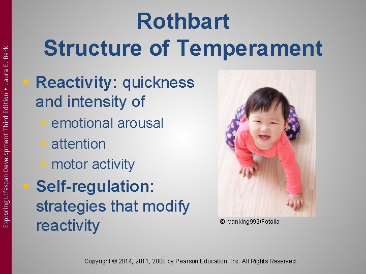 Exploring Lifespan Development Third Edition Laura E. Berk Rothbart Structure of Temperament § Reactivity: