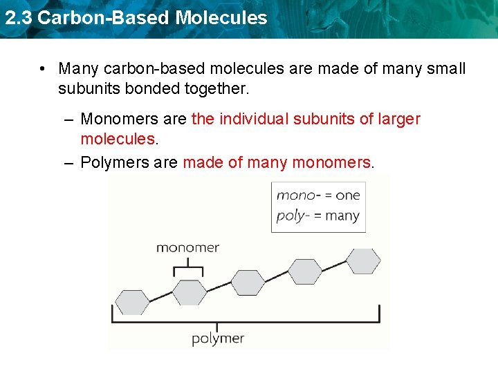 2. 3 Carbon-Based Molecules • Many carbon-based molecules are made of many small subunits