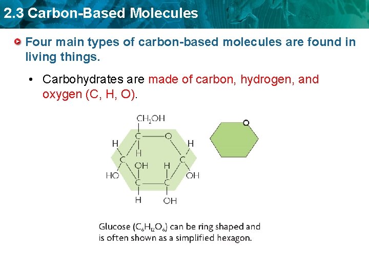 2. 3 Carbon-Based Molecules Four main types of carbon-based molecules are found in living