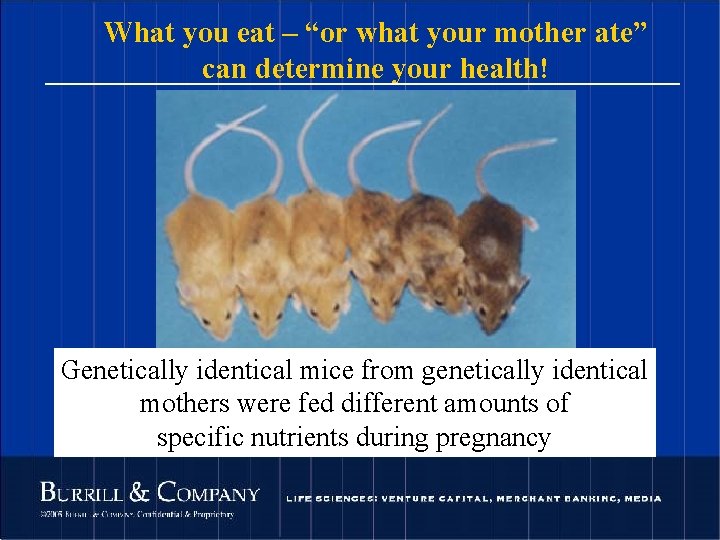 What you eat – “or what your mother ate” can determine your health! Genetically